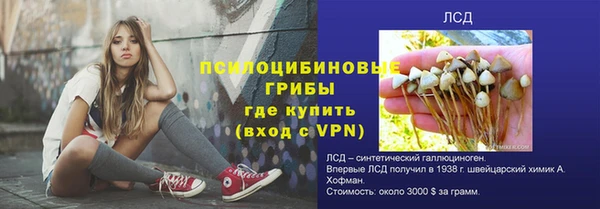 твердый Магадан